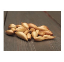 Šalotka na dřevěném pozadí