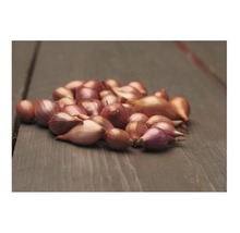 Šalotky na dřevěném stole