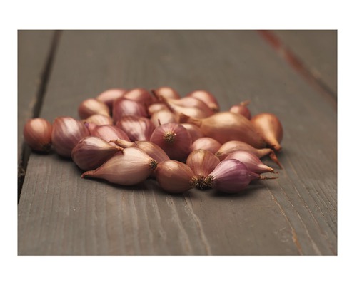 Šalotky na dřevěném stole