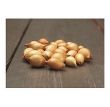 Šalotky na dřevěném pozadí