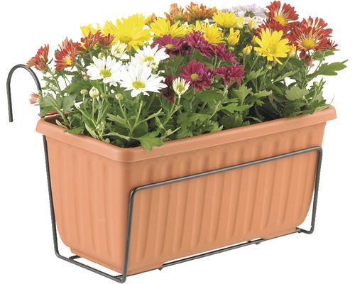 Květináč s držákem a barevnými chryzantémami