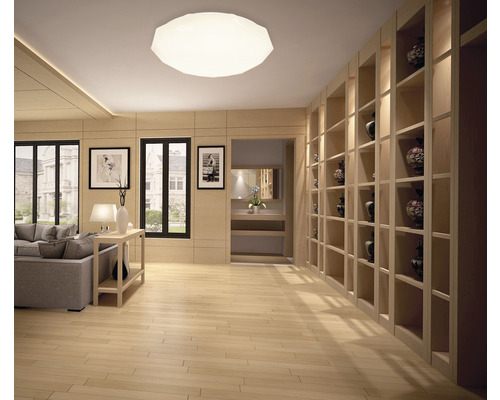 Interiér s stropním svítidlem, regály a okny