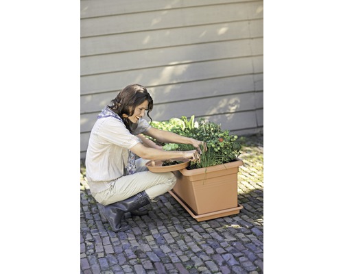 Žena pracuje na zahradě s truhlíkem plným bylin a zeleniny.