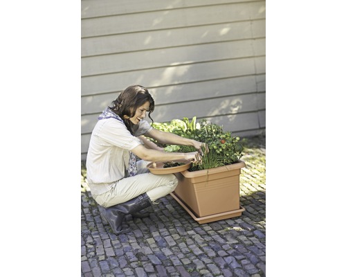 Žena pracuje na vyvýšeném zahradním záhonu s bylinkami a zeleninou