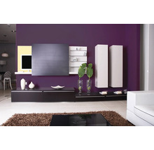 Moderní obývací pokoj s tmavým nábytkem, nástěnnými policemi a dekorací