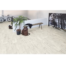 Světlá místnost s laminátovou podlahou, rostlinou, lavicí a dekoracemi