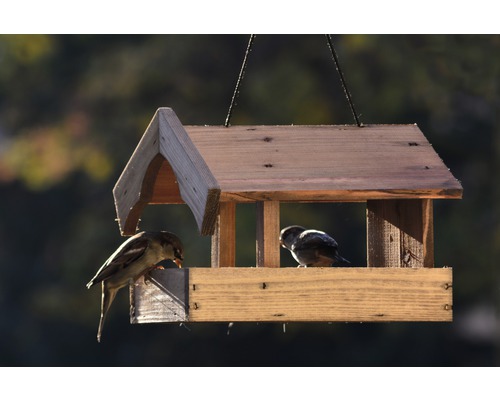 Dřevěné krmítko pro ptáky se dvěma ptáky