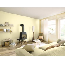 Obývací pokoj s kamny, policemi a pohovkou