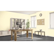 Kancelář se stolem, policemi a kancelářskými potřebami pro světlé a uspořádané pracovní prostředí