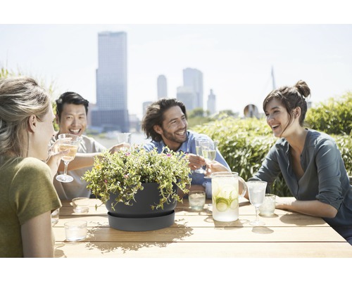 Květináč na stole s oslavujícími lidmi a výhledem na město