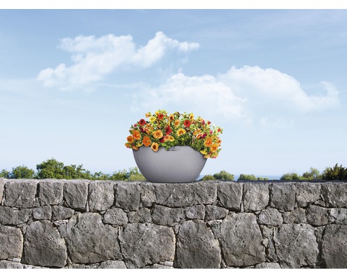 Květiny v květináči na kamenné zdi před modrou oblohou