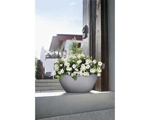 Šedý květináč s bílými květy před domem