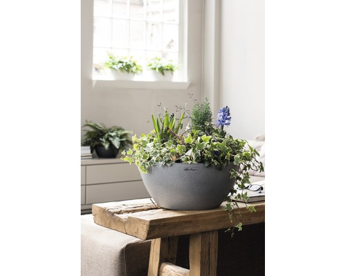 Dekorativní květináč se zelenými rostlinami a kvetoucími hyacinty na dřevěném stole v interiéru