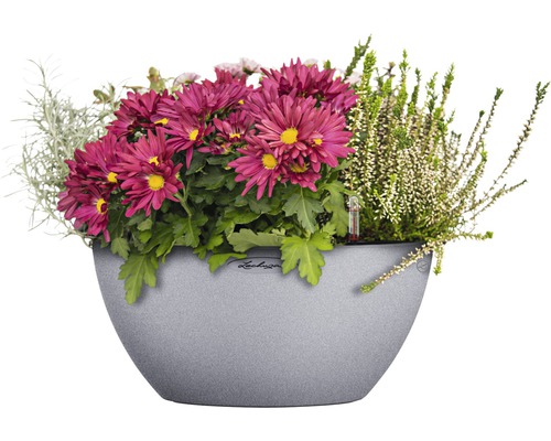 Květinové aranžmá v květináči