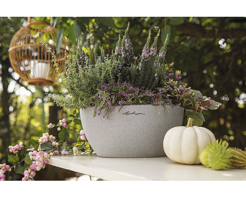 Osázená Lechuza květináč s podzimní dekorací