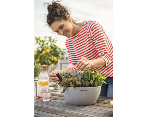 Žena sází bylinky do květináče na dřevěném stole