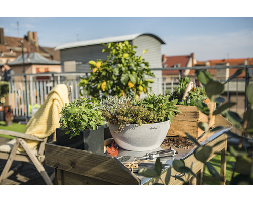 Scéna s bylinkami v květináčích na stole venku