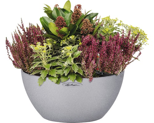 Osázený květináč s vřesem a různými rostlinami