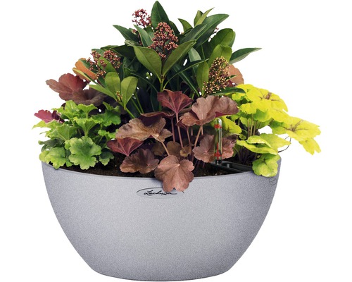 Květináč osázený různými druhy rostlin