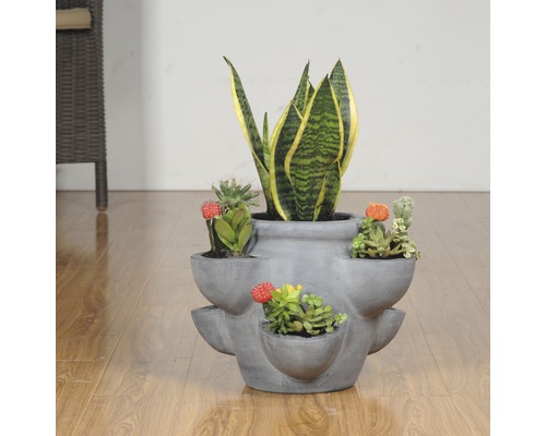 Víceúrovňový betonový květináč s různými sukulenty a rostlinou Sansevieria