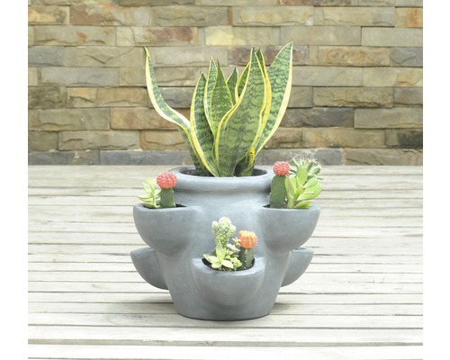 Květináč osázený sukulenty a kaktusem