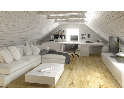 Světlá podkrovní místnost s pohovkou, stolem, psacím stolem a televizí