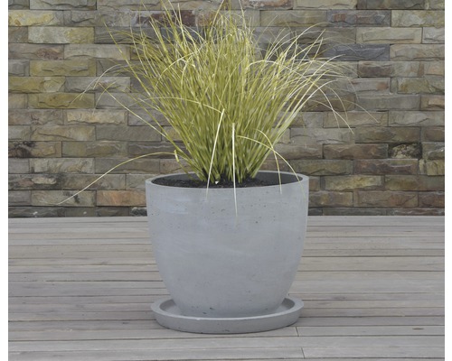 Kamenný květináč s rostlinou