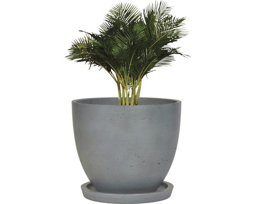 Pokojová rostlina Areca palma v květináči z vláknocementu