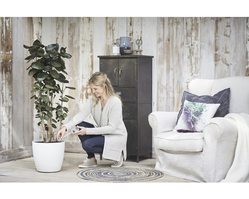 Žena zalévá rostlinu v bílém květináči v obývacím pokoji se skříní a křeslem