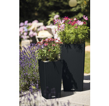 Dva květináče s květinami na terase