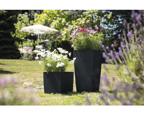 Dva černé květináče s květinami na zahradě