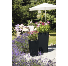 Dva květináče s rostlinami na terase