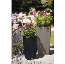 Dva plastové květináče s pleteným vzorem na zahradě.