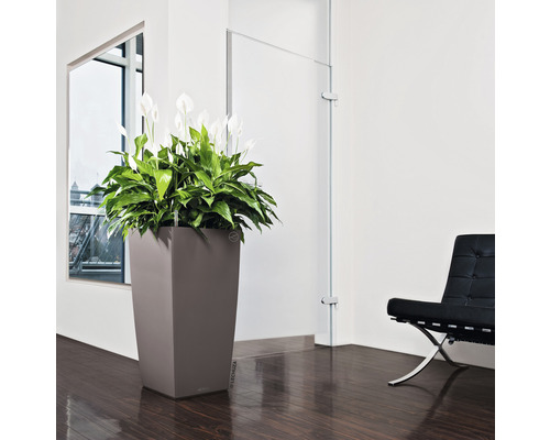 Interiér s vysokou rostlinou v květináči, křeslem a oknem