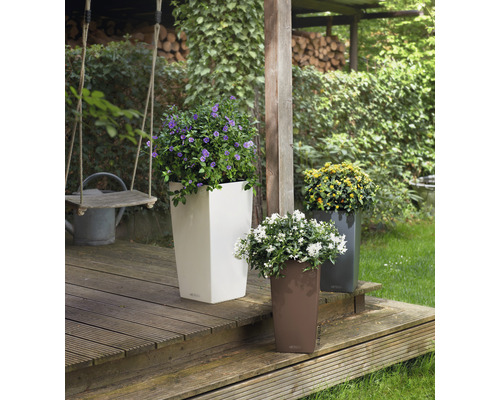 Tři květináče s rostlinami na dřevěné terase