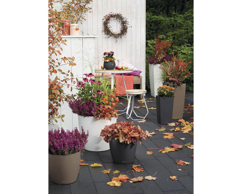 Terasa s podzimními květinami a květináči různých tvarů a velikostí.