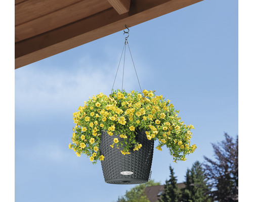 Závěsný květináč s žlutými květy
