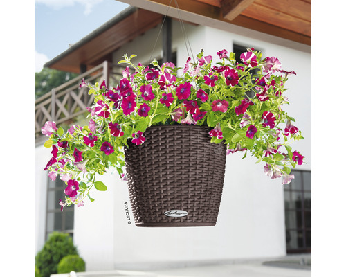 Závěsný květináč s petúniemi před domem