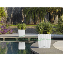 Dva bílé květináče s rostlinami v zahradě u bazénu