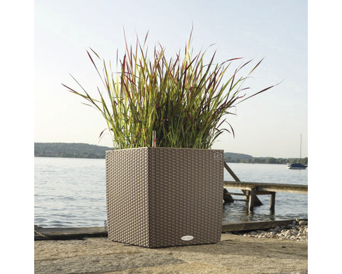 Čtvercový květináč s rostlinami u jezera