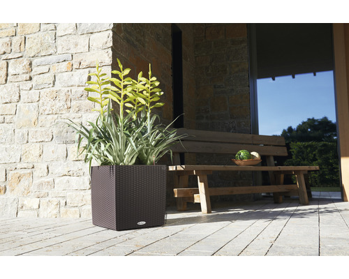 Čtvercový květináč s rostlinami a dřevěnou lavicí před kamennou zdí