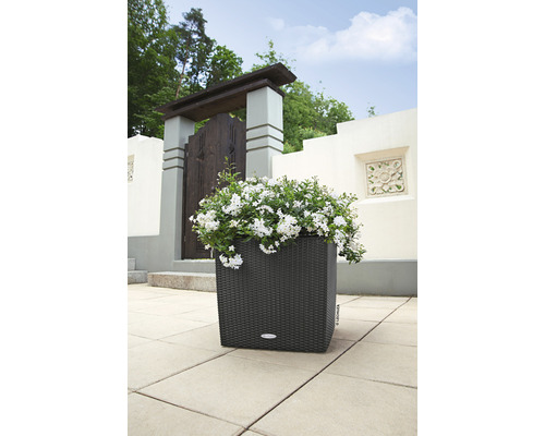 Čtvercový květináč s bílými květy na terase