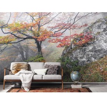Fototapeta vliesová SH031-VD3 Euphoria 3-dílná 300x200 cm