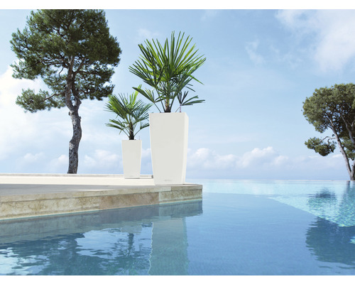 Dva štíhlé vysoké plastové květináče s rostlinami vedle bazénu.