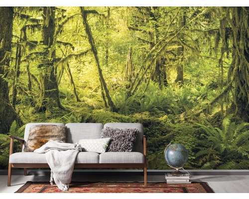 Fototapeta s motivem lesa za pohovkou