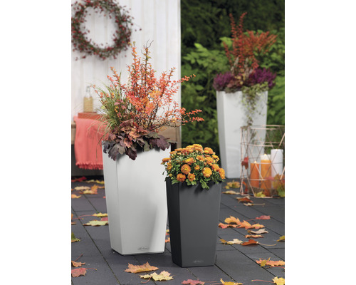 Scéna se dvěma květináči a podzimní dekorací venku