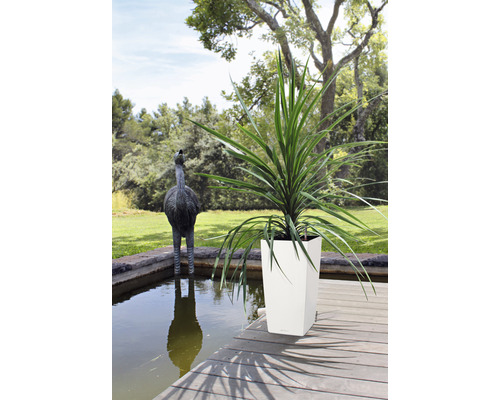 Vysoká rostlina v květináči na dřevěné terase vedle zahradního jezírka se sochou pštrosa