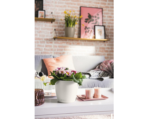 Dekorativní interiér s stolem, pohovkou, policemi a květinami