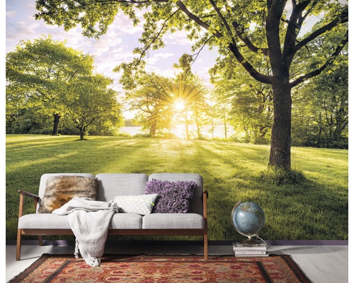 Fototapeta s krajinou parku se stromy a trávou