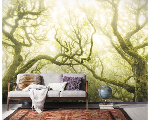 Fototapeta s motivem lesa za pohovkou